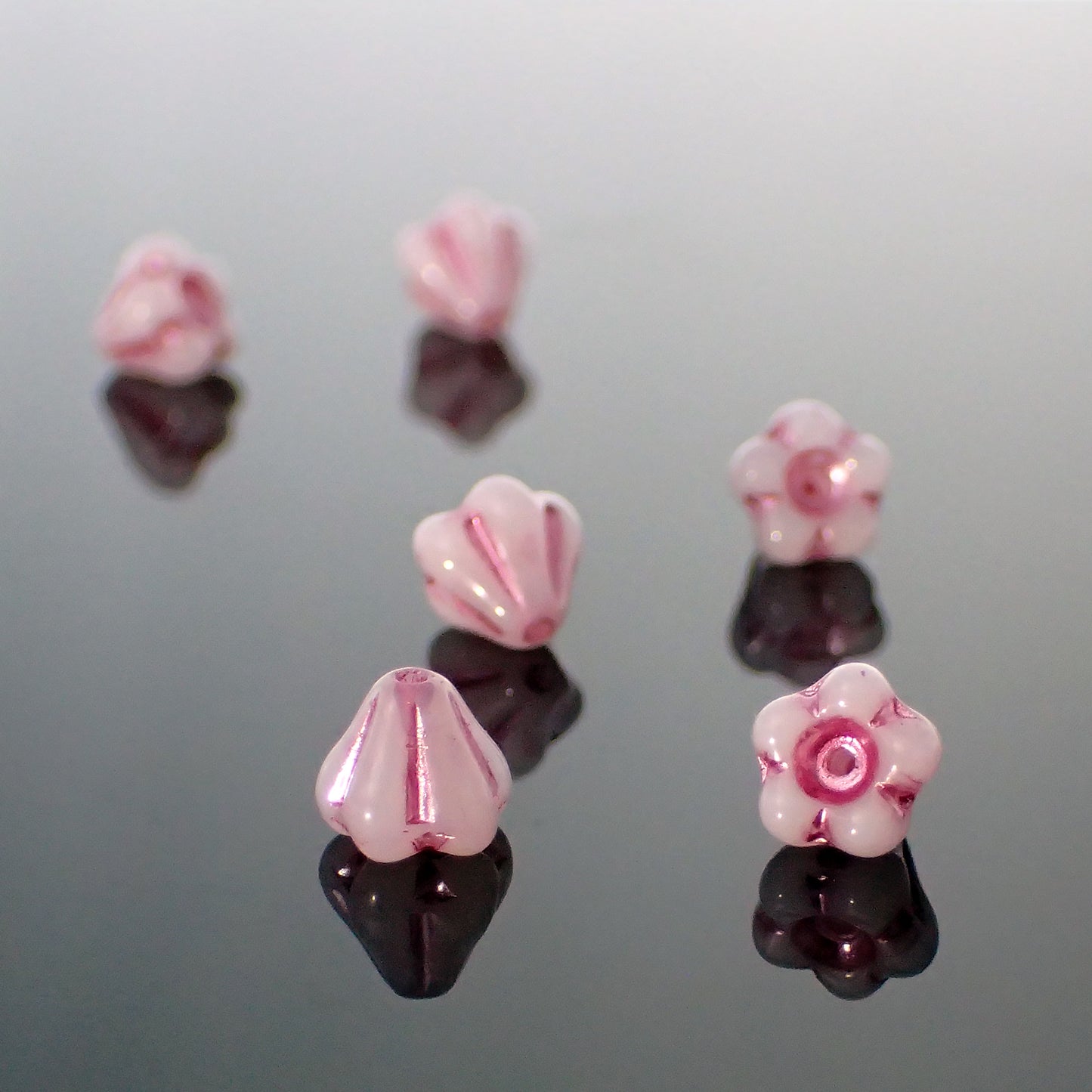 50 Czech Glass Baby Bell Flower Beads, 6x4mm Opaque White with Metallic Pink Wash